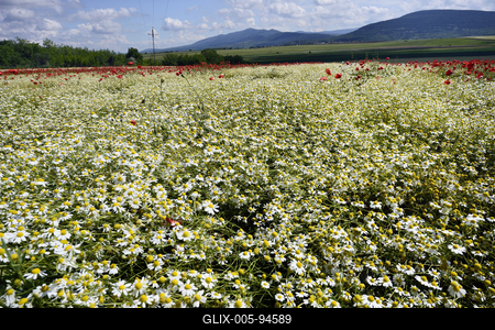 Nógrádi táj-stock-foto