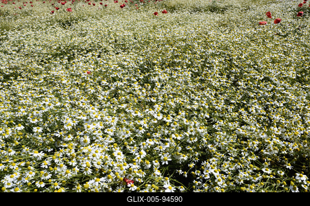 Nógrádi táj-stock-foto
