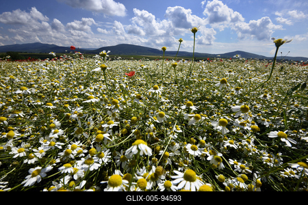 Nógrádi táj-stock-foto