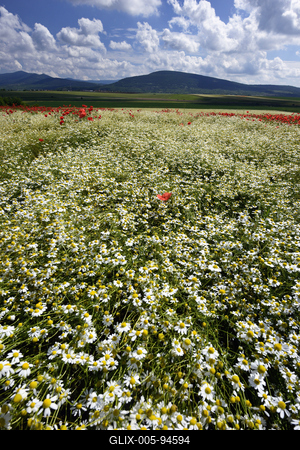 Nógrádi táj-stock-foto