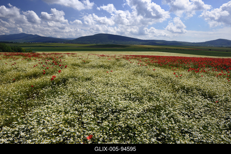 Nógrádi táj-stock-foto