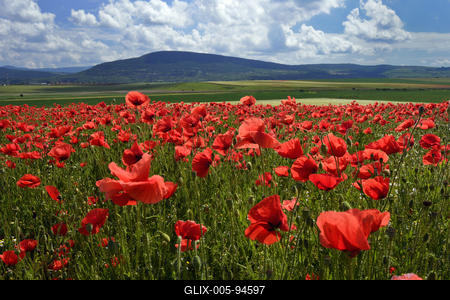 Nógrádi táj-stock-foto