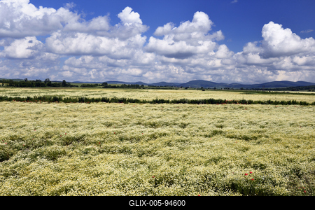 Nógrádi táj-stock-foto