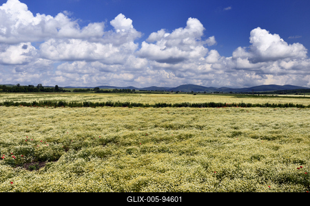 Nógrádi táj-stock-foto