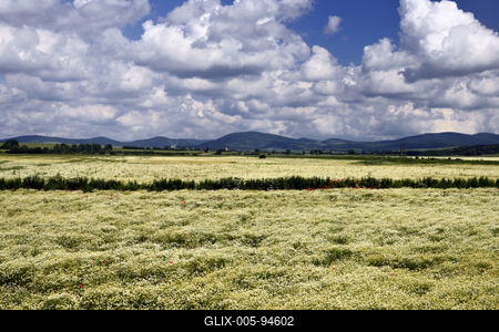 Nógrádi táj-stock-foto