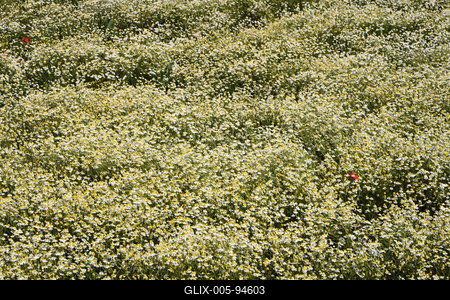 Nógrádi táj-stock-foto