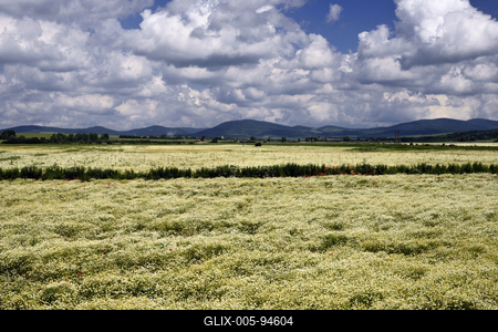 Nógrádi táj-stock-foto