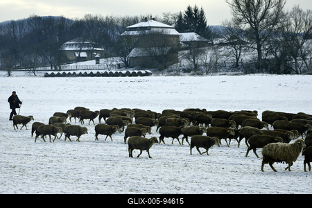 Nógrádi táj-stock-foto
