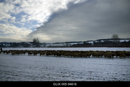 Nógrádi táj-stock-foto