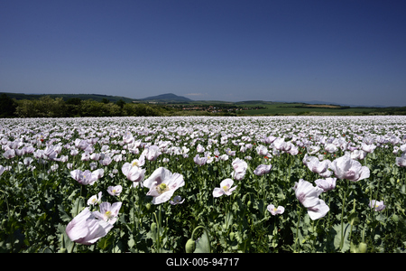 Nógrádi táj-stock-foto
