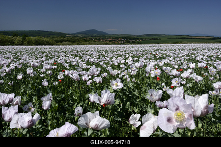 Nógrádi táj-stock-foto