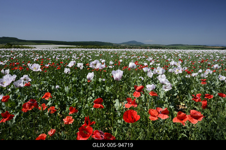Nógrádi táj-stock-foto
