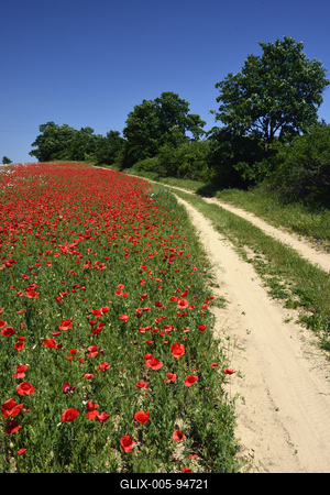 Nógrádi táj-stock-foto