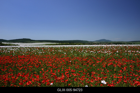 Nógrádi táj-stock-foto