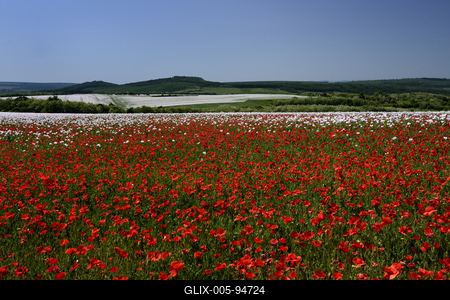 Nógrádi táj-stock-foto