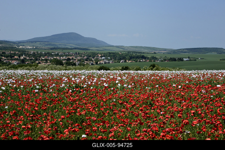Nógrádi táj-stock-foto