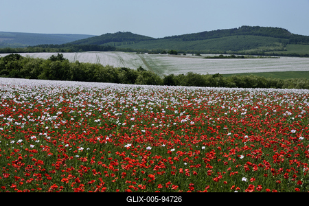 Nógrádi táj-stock-foto