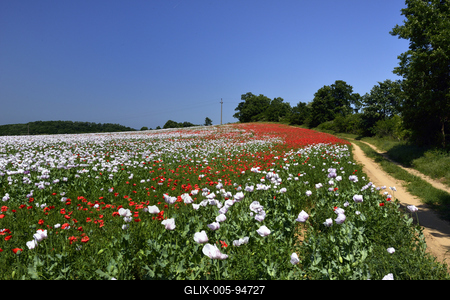 Nógrádi táj-stock-foto