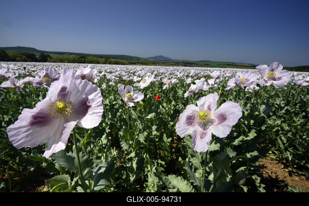 Nógrádi táj-stock-foto