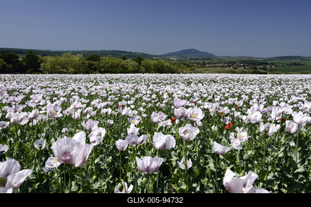 Nógrádi táj-stock-foto