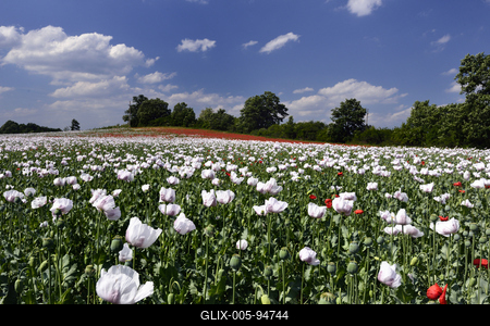 Nógrádi táj-stock-foto