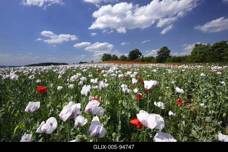Nógrádi táj-stock-foto