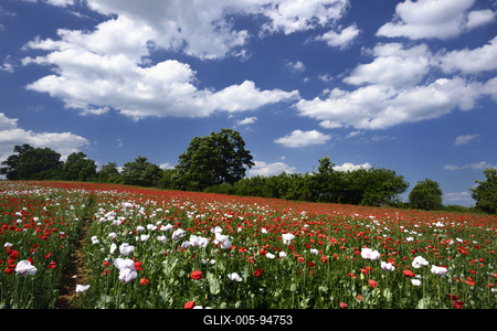 Nógrádi táj-stock-foto