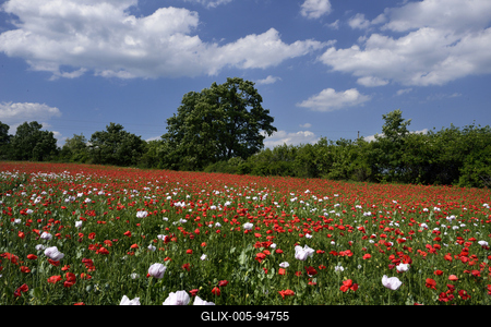 Nógrádi táj-stock-foto