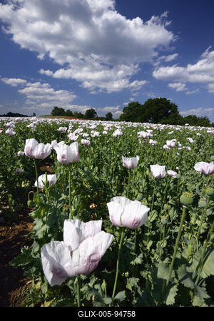Nógrádi táj-stock-foto