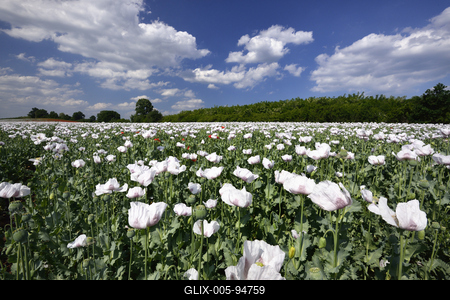 Nógrádi táj-stock-foto