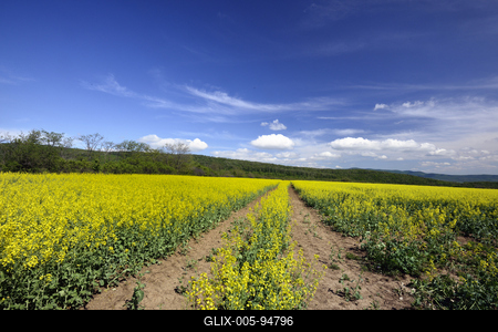 Nógrádi táj-stock-foto