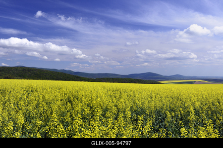Nógrádi táj-stock-foto