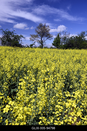 Nógrádi táj-stock-foto
