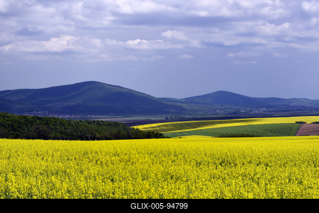 Nógrádi táj-stock-foto