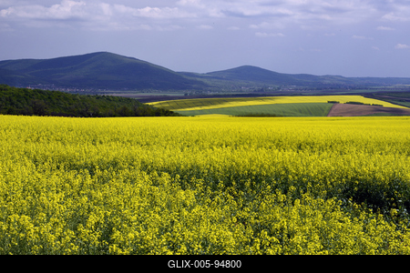 Nógrádi táj-stock-foto