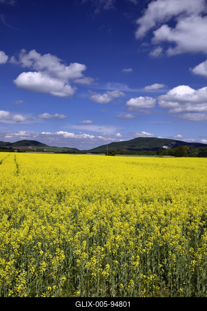 Nógrádi táj-stock-foto