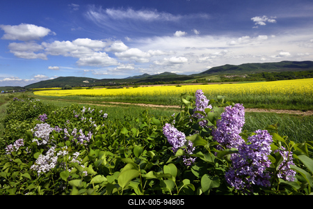 Nógrádi táj-stock-foto