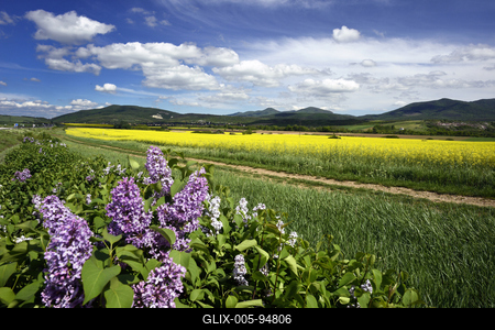 Nógrádi táj-stock-foto