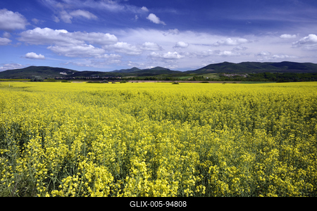 Nógrádi táj-stock-foto