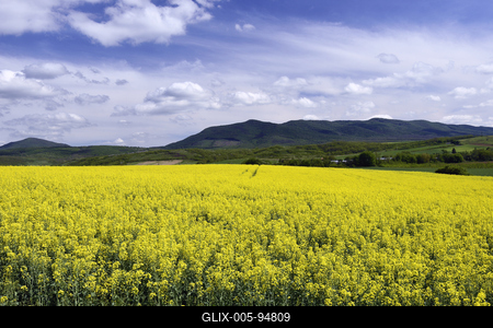 Nógrádi táj-stock-foto