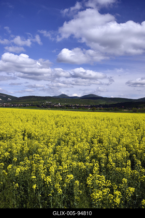 Nógrádi táj-stock-foto