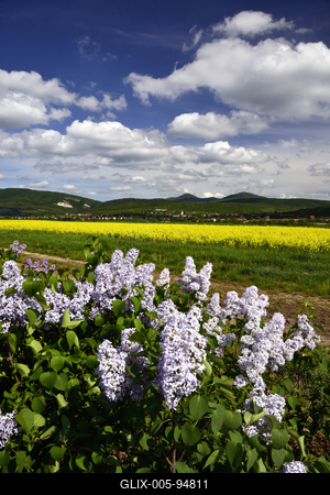 Nógrádi táj-stock-foto