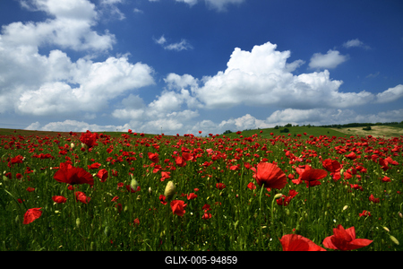 Nógrádi táj-stock-foto