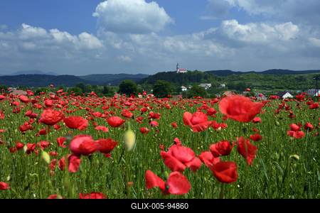 Nógrádi táj-stock-foto