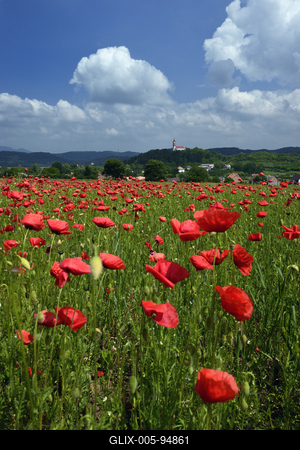 Nógrádi táj-stock-foto