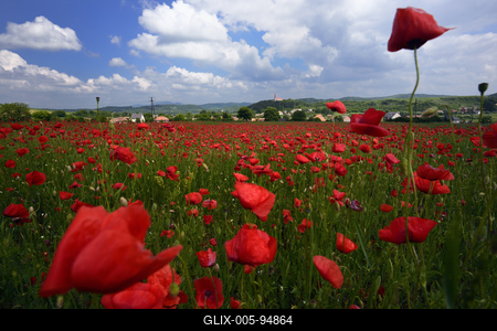 Nógrádi táj-stock-foto