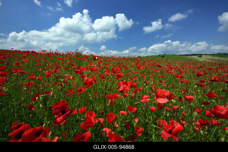 Nógrádi táj-stock-foto