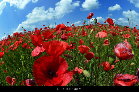 Nógrádi táj-stock-foto