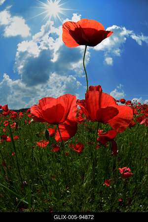 Nógrádi táj-stock-foto