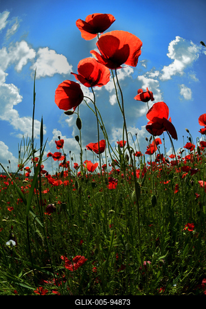 Nógrádi táj-stock-foto